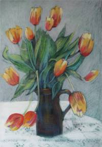 - Spring tulips -