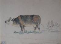 Kuh beim Tränken - Ludovic Rodo Pissarro